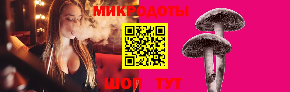Галлюциногенные грибы Cubensis  Вход с VPN  Карачаевск 